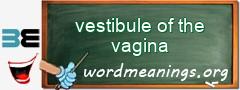 WordMeaning blackboard for vestibule of the vagina